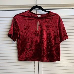 Velvet Crop Top
